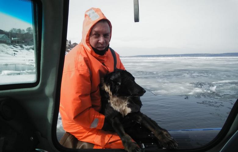В Казани сотрудники МЧС спасли собаку, провалившуюся под лед